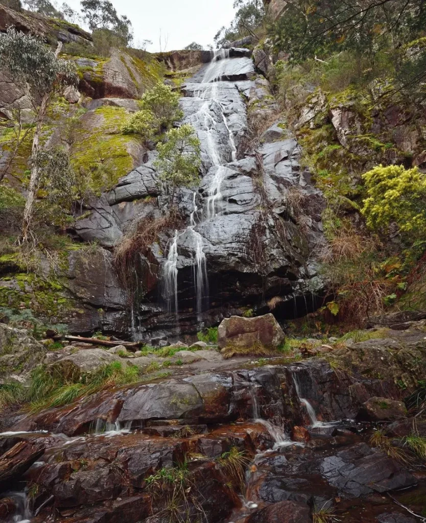 Clematis Falls