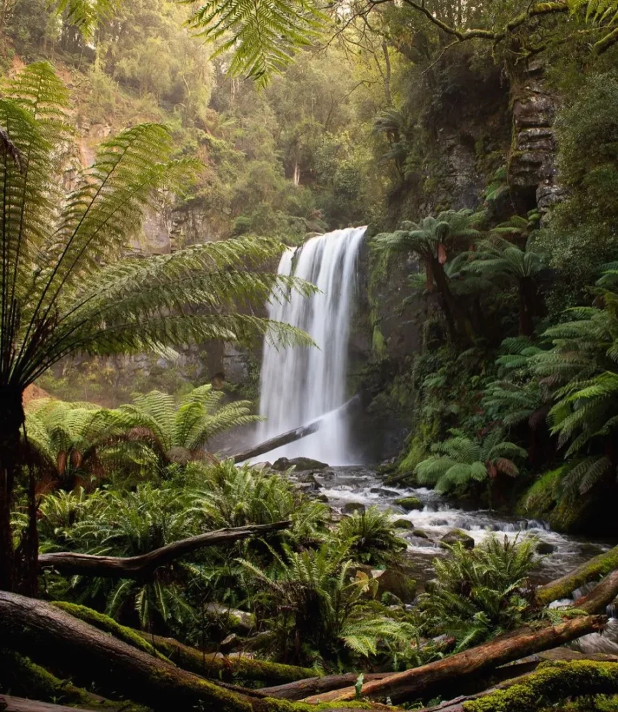 Hopetoun Falls