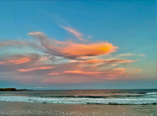 Embark on a Full-Day Adventure Exploring the Beauty of Phillip Island